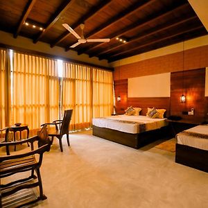 Triple Room Terrace