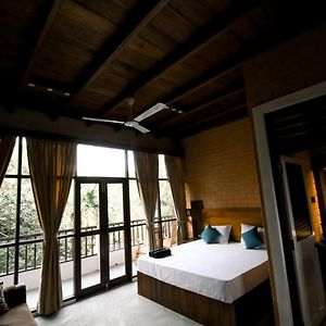Queen Room Pool View